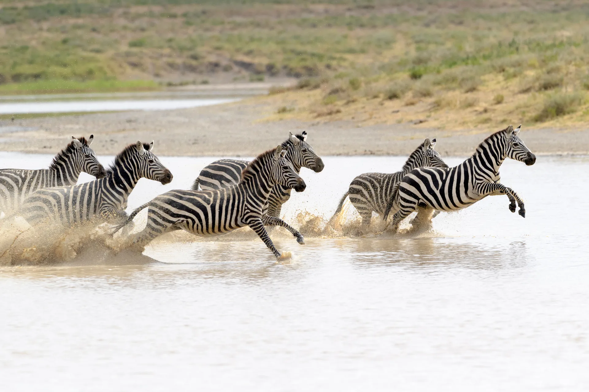 Olduvai Gorge safari image from Ngorongoro Crater