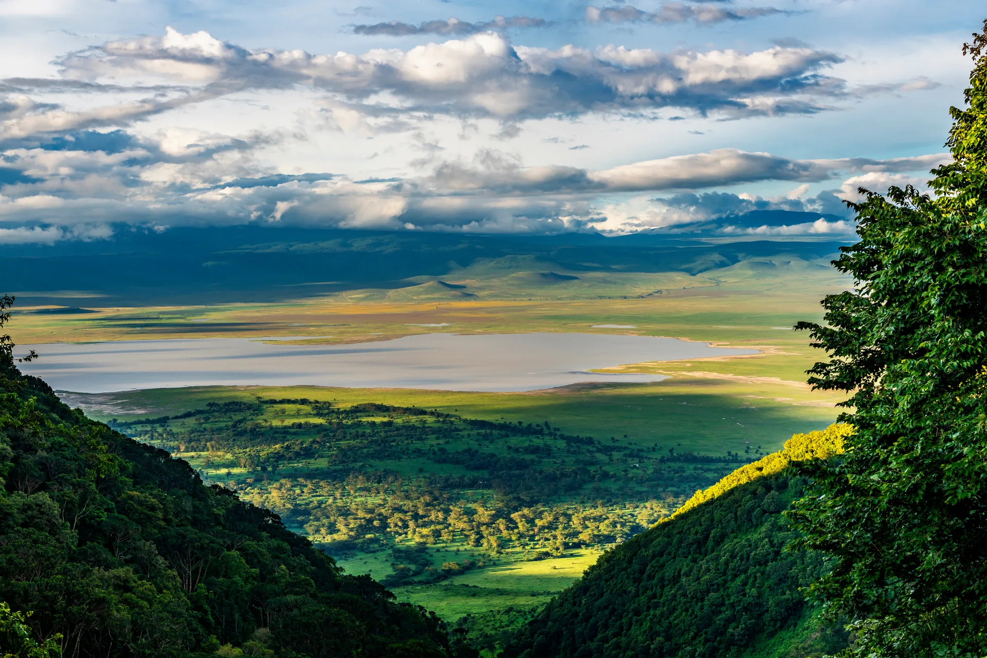 Ngorongoro Conservation Area safari image from Ngorongoro Crater