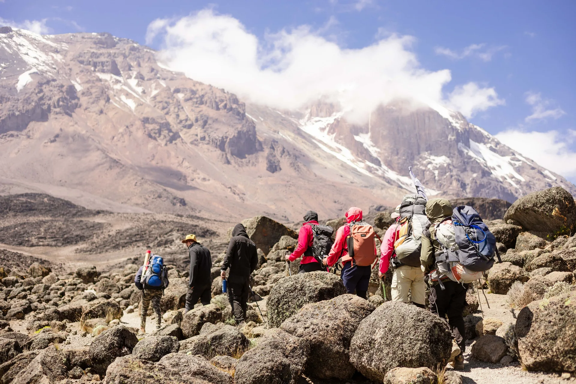 Machame Route safari image from Mt Kilimanjaro