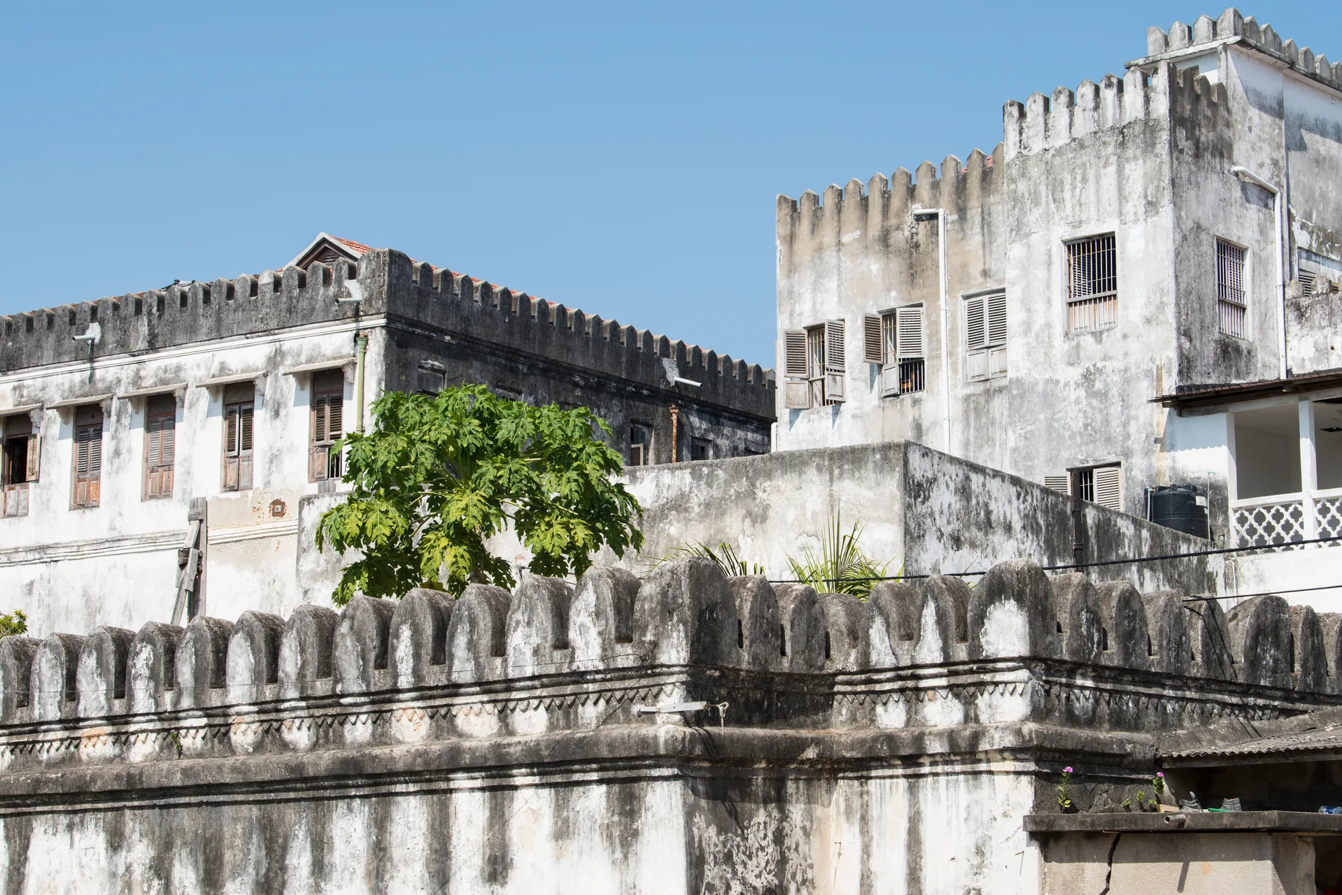 Dar es Salaam safari image from Stone Town Zanzibar