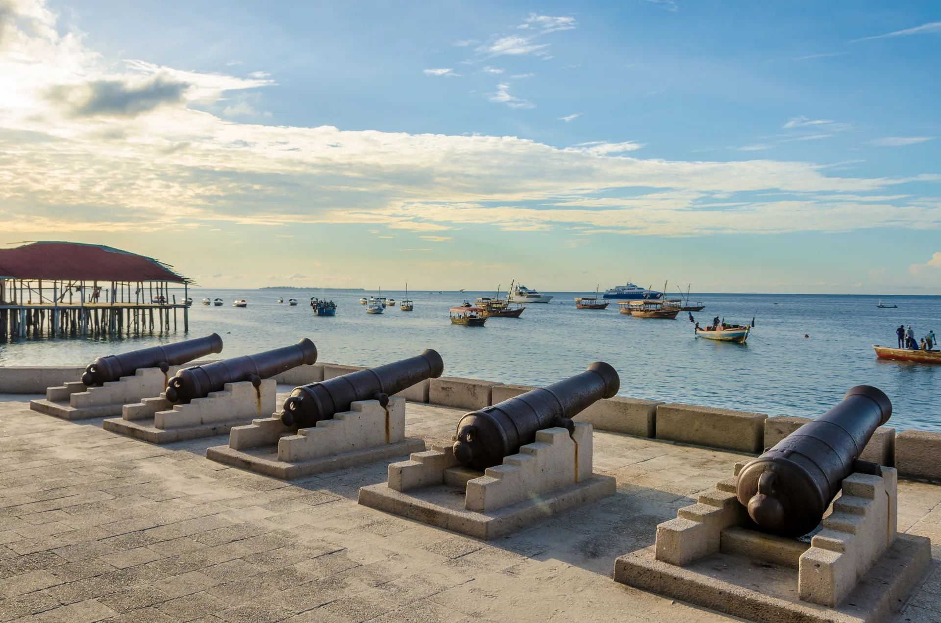 Dar es Salaam safari image from Stone Town Zanzibar