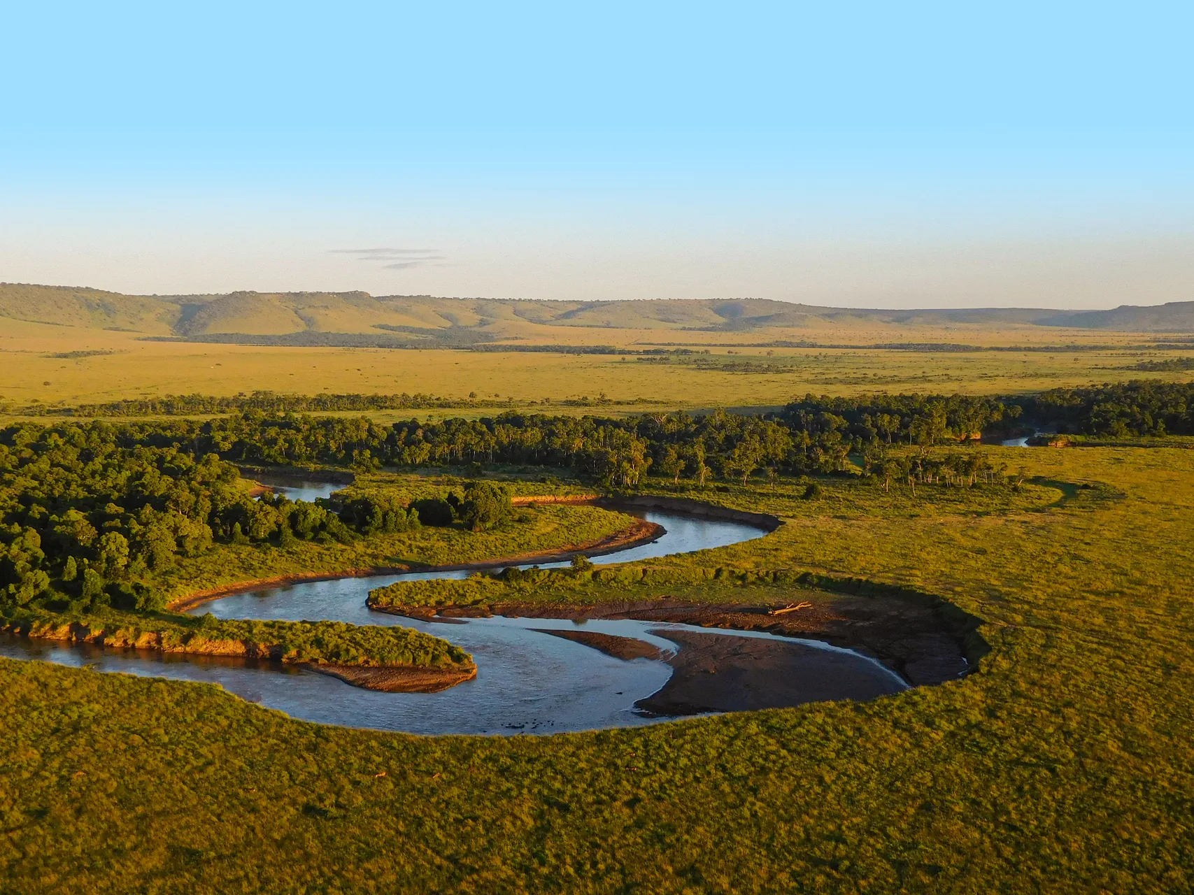 Maasai Mara National Reserve safari image from Masai Mara National Park