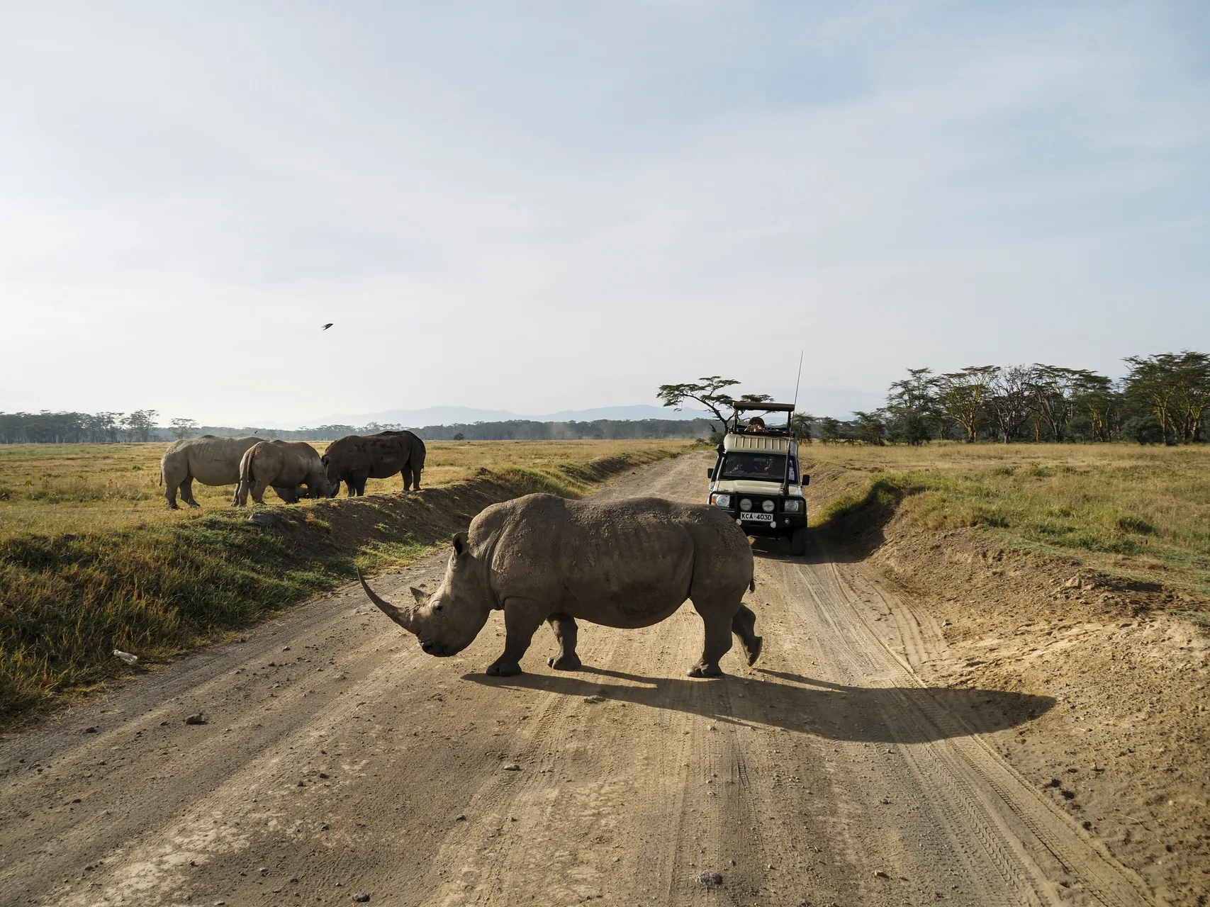 Lake Nakuru National Park safari image from Lake Nakuru National Park