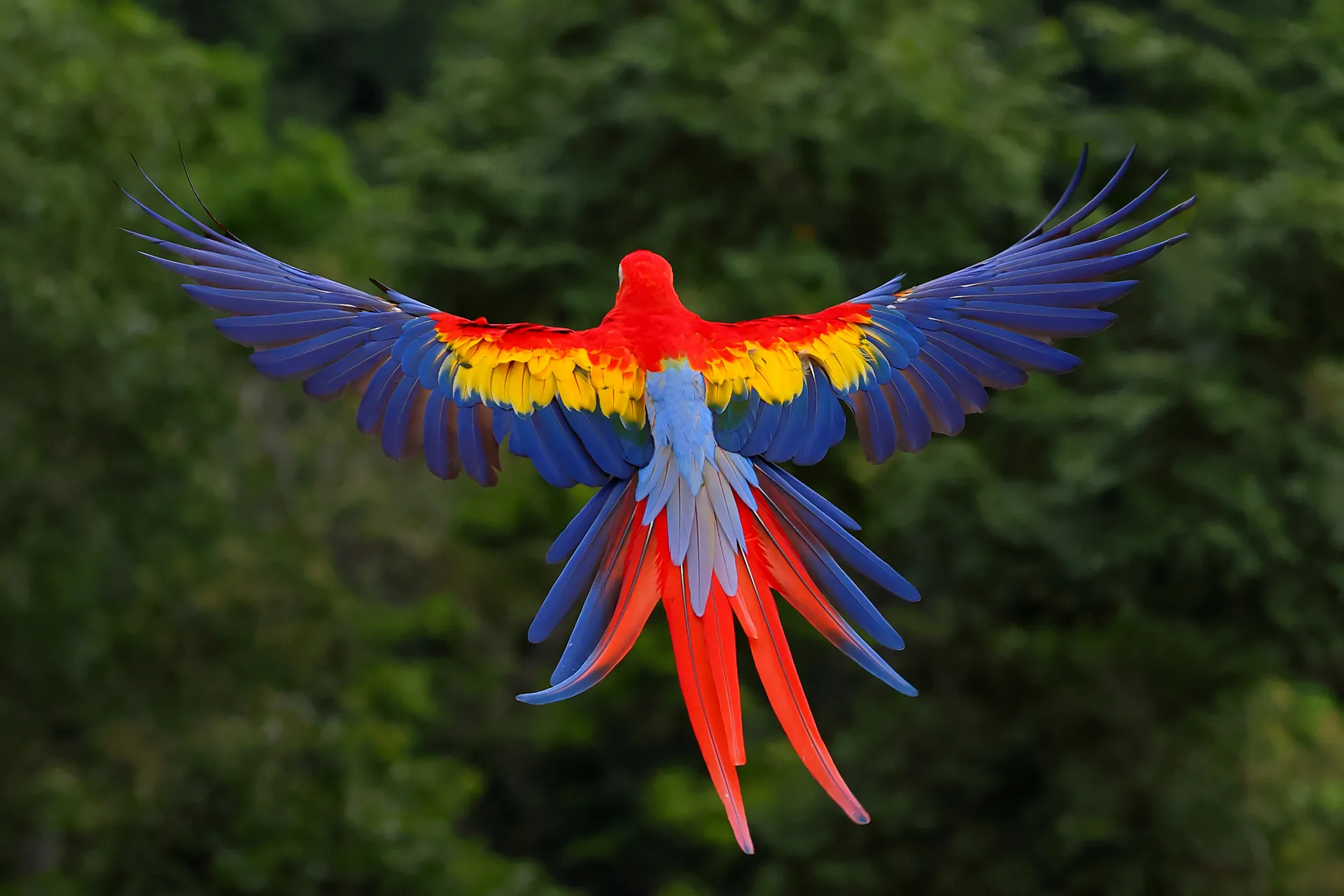 Lake Turkana safari image from Birds