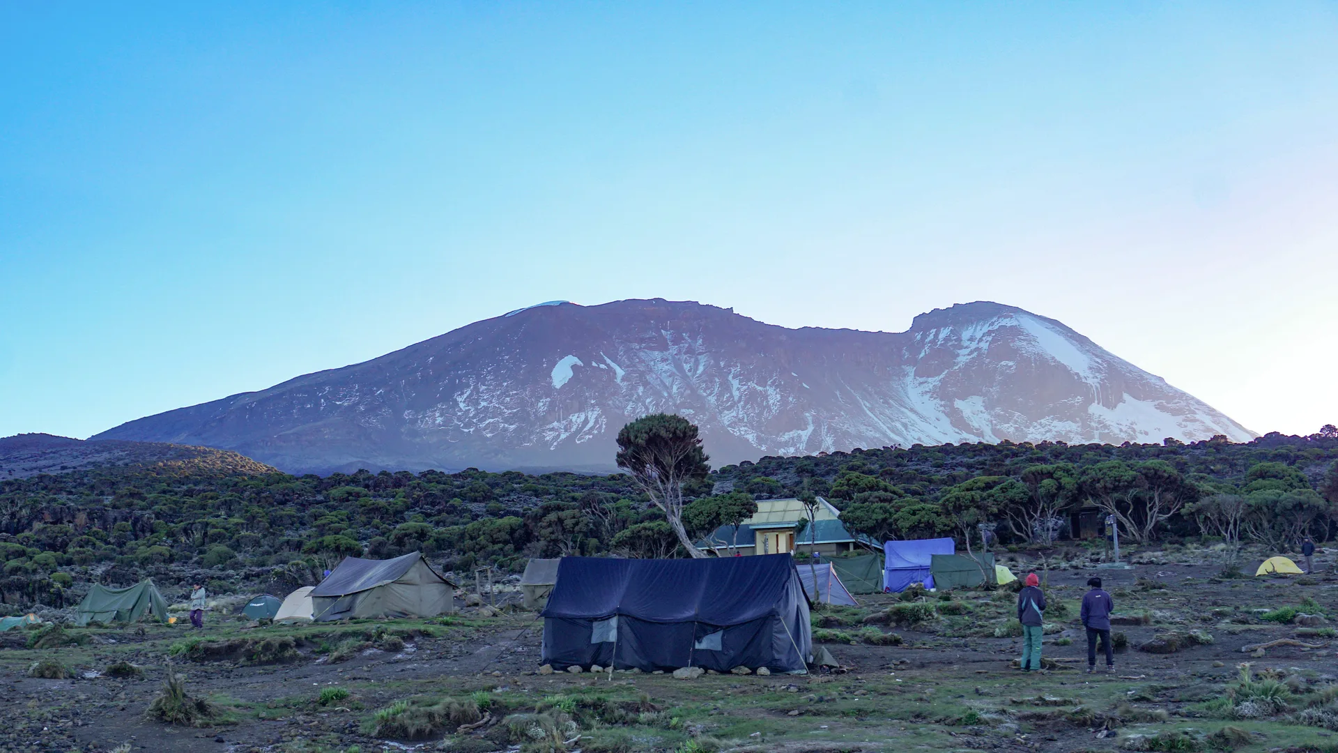 Moshi safari image from Mt Kilimanjaro