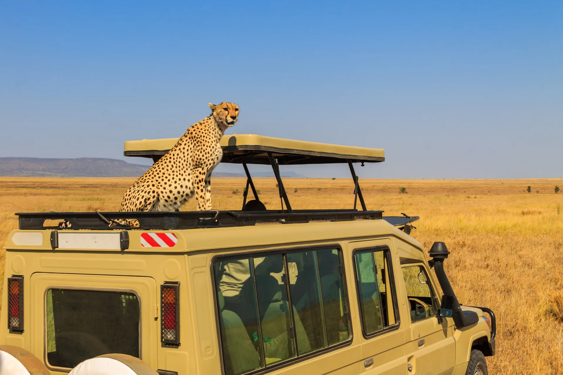 Tanzania’s Signature Wilderness Safari safari image from Serengeti National Park