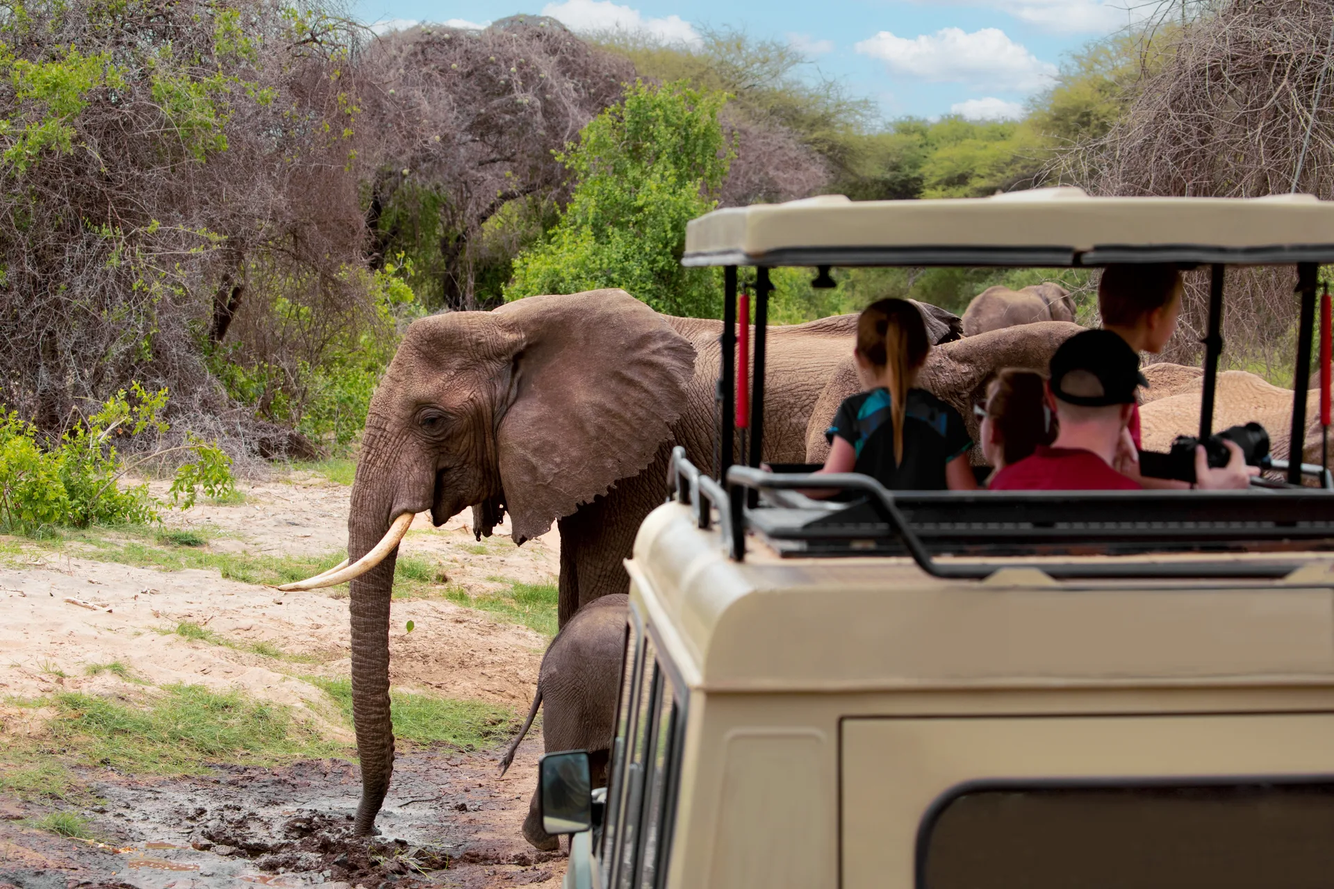 East Africa Ultimate Luxury Safari safari image from Serengeti National Park