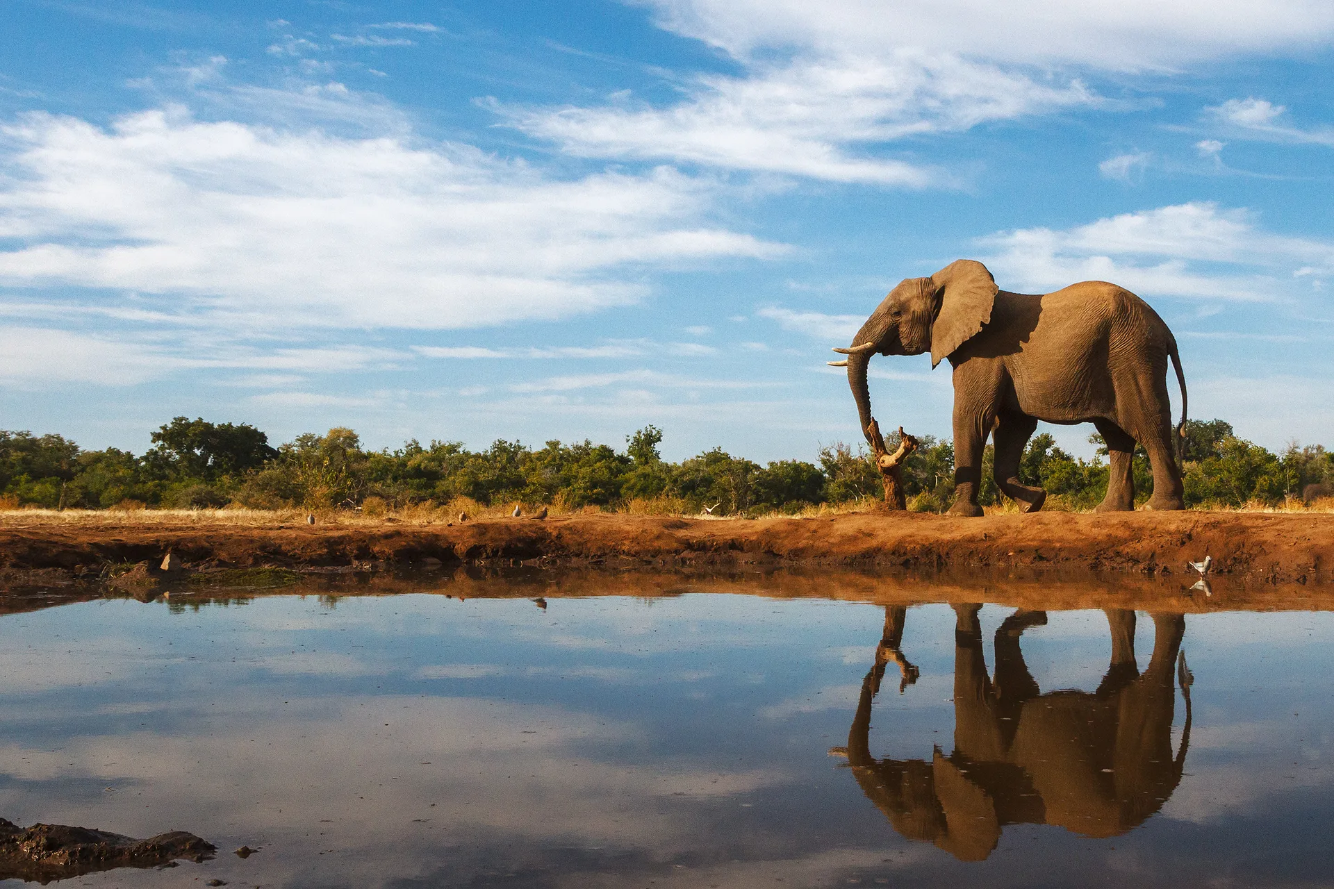 Kenya & Tanzania Luxury Safari Adventure safari image from Samburu National Park