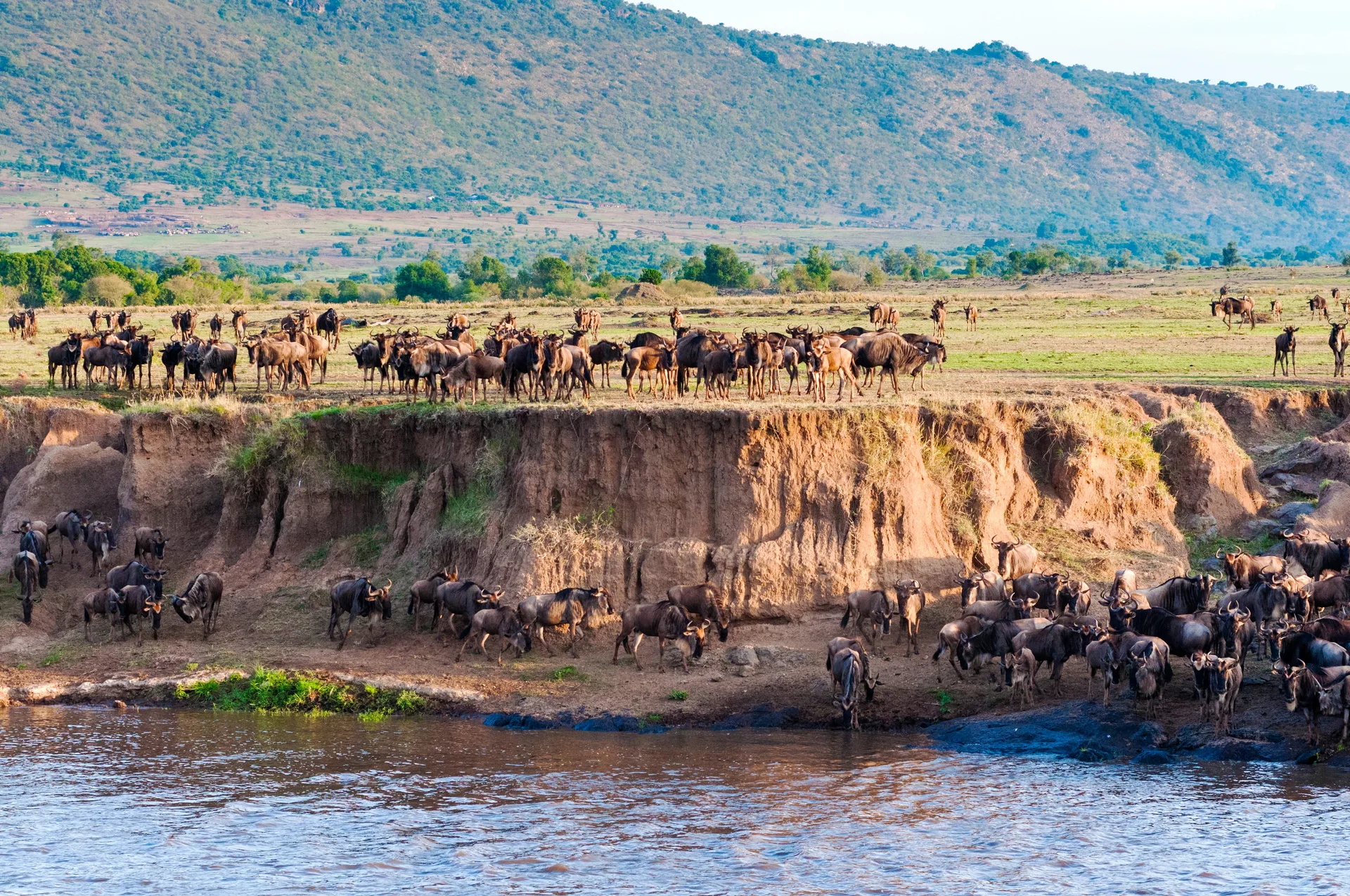 Mount Kilimanjaro & Amboseli Safari safari image from Amboseli National Park