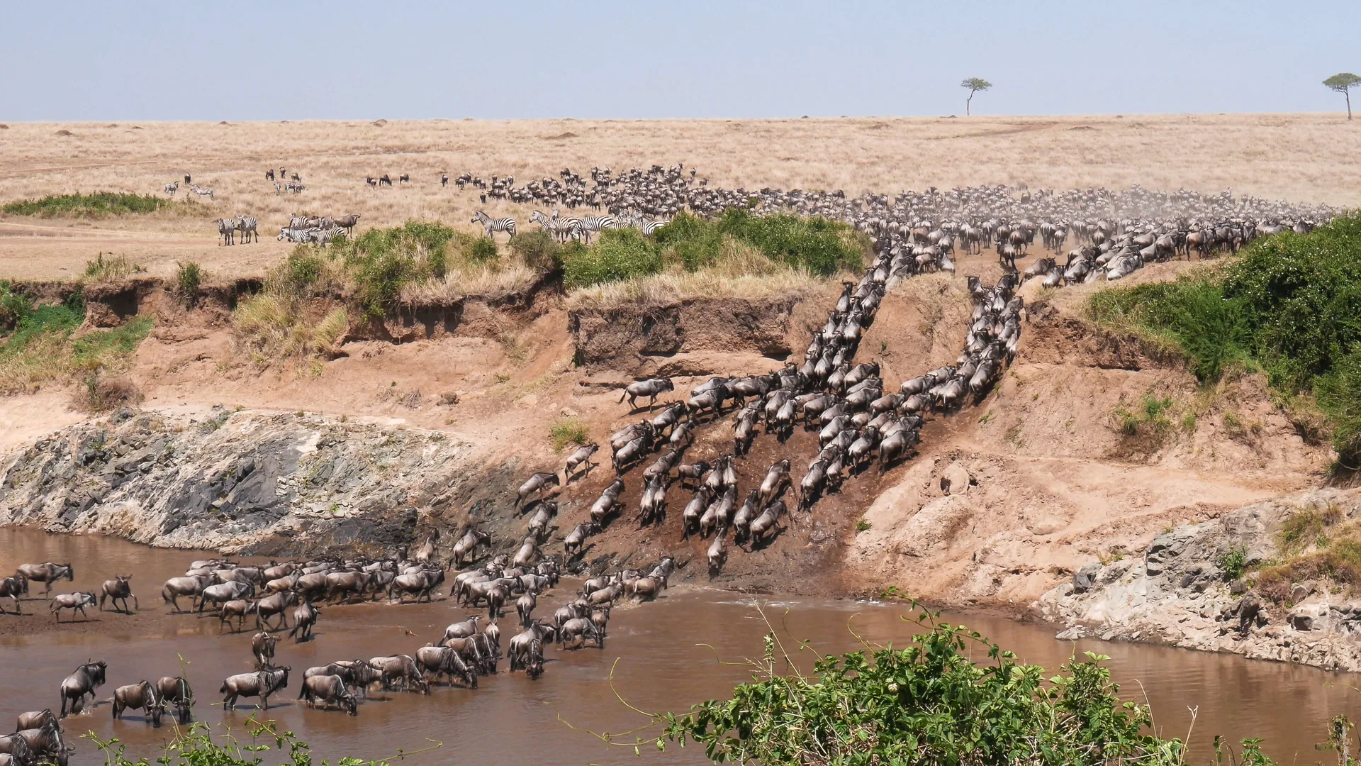 Offbeat Kenya Safari: Governors’ Loldia & Masai Mara Adventure safari image from Wildbeast Migration