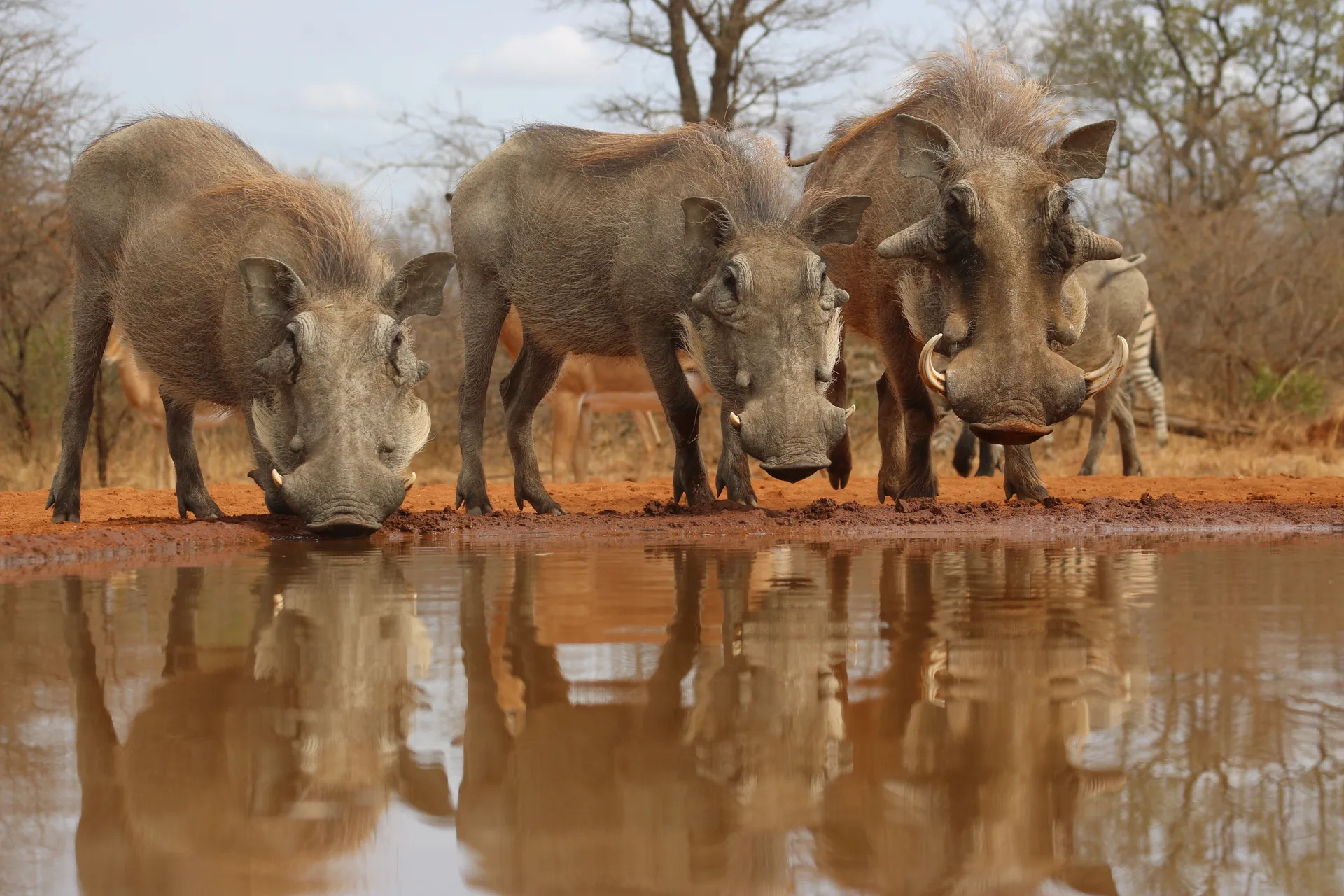 Tanzania's Hidden Gems Safari safari image from Serengeti National Park