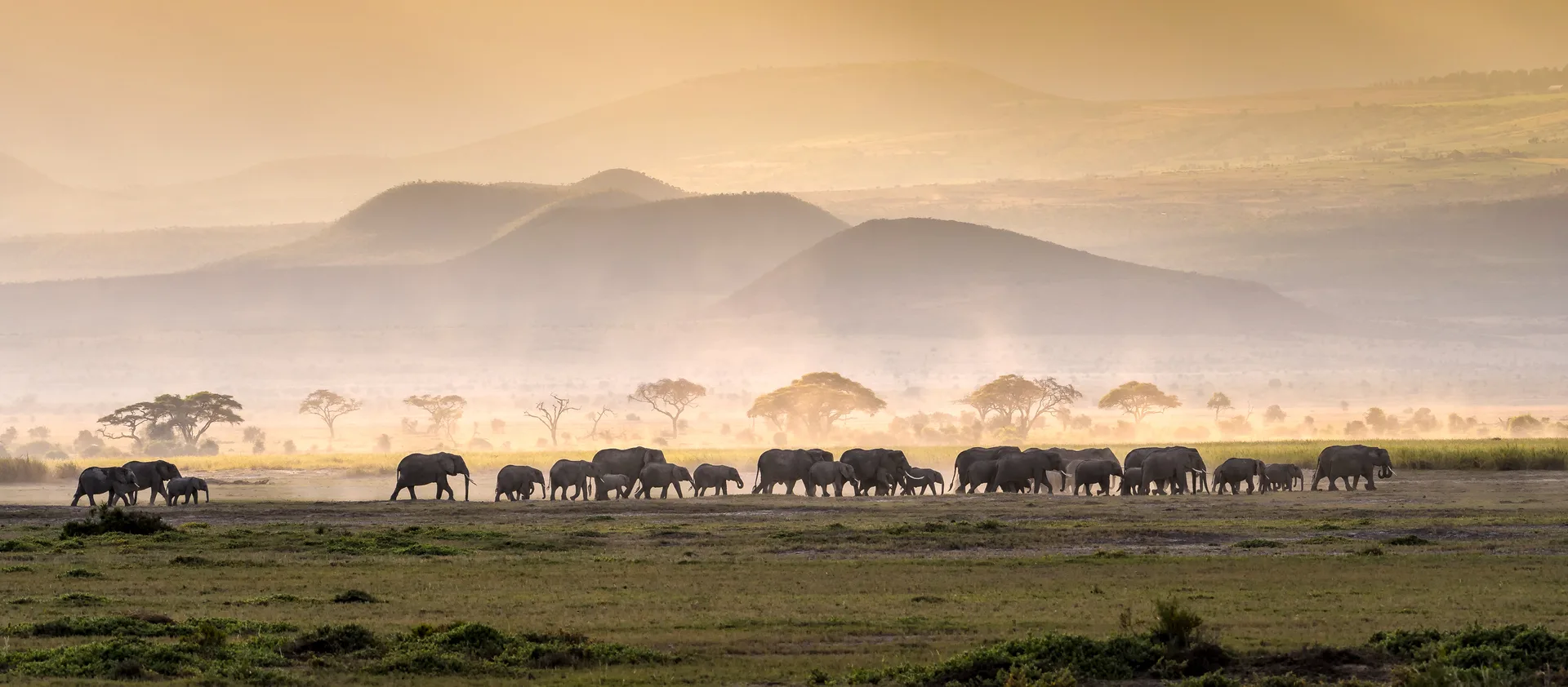 Timeless Tanzania Safari Experience safari image from Serengeti National Park