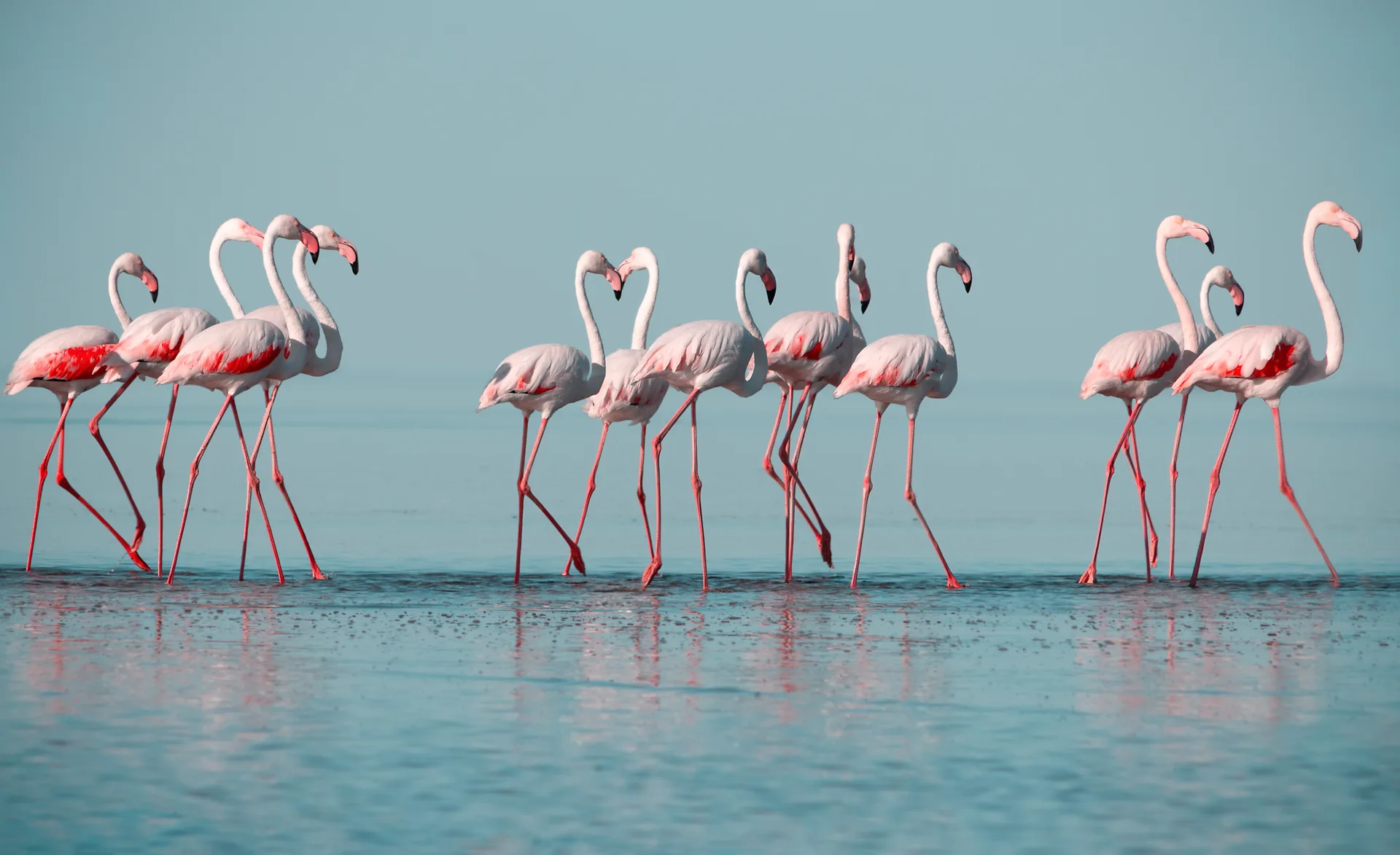 Kenya’s Scenic Wonders Tour safari image from Lake Nakuru National Park