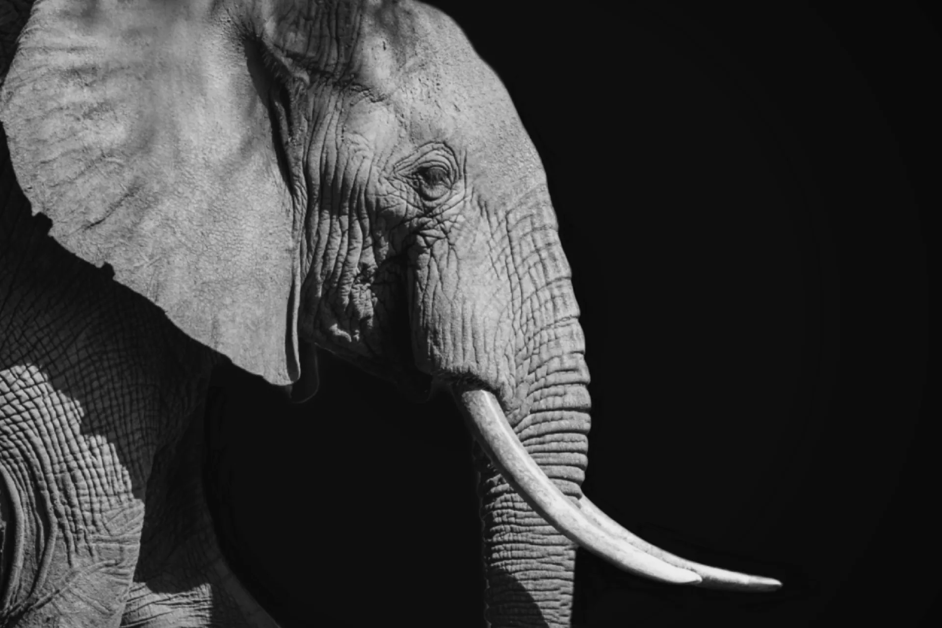 Signature Wings of Kenya Safari safari image from Samburu National Park